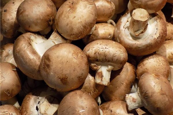 Champignons bruin De Vrijloophoeve Webshop